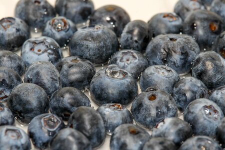 Sweet berry closeup