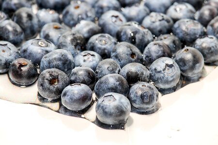 Blueberry sweet desktop