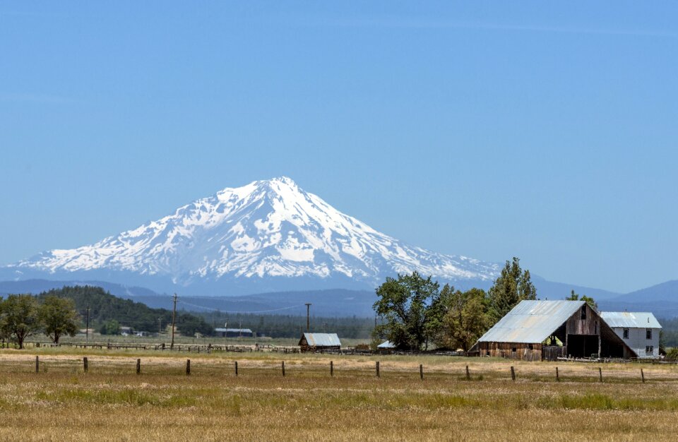 Field mount shasta cascades