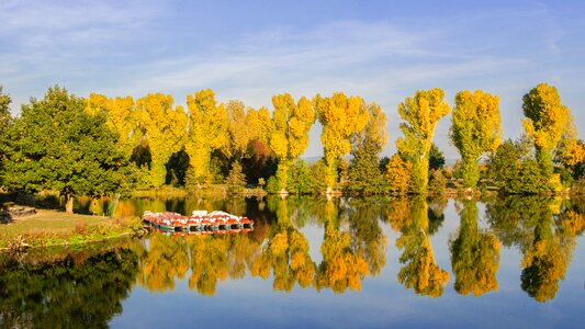 Water reflection mood