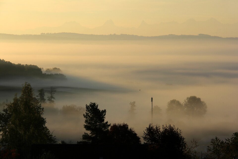 Mood mystical idyll photo