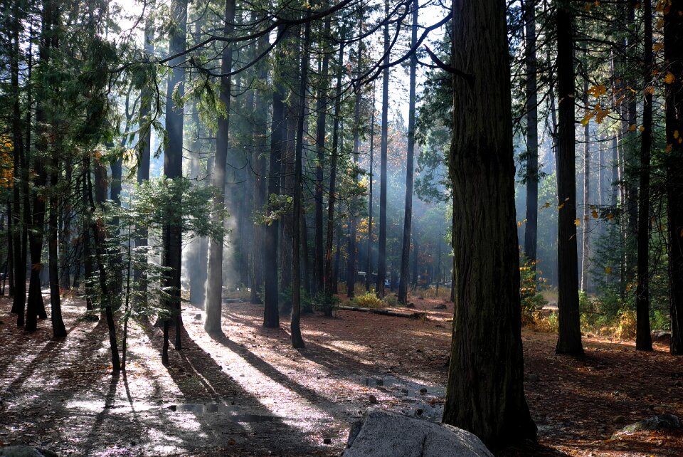 Landscape nature scenery
