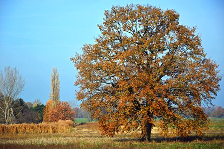 Autumn fall color autumn mood