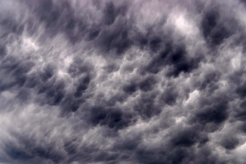 Fluffy delicate weather