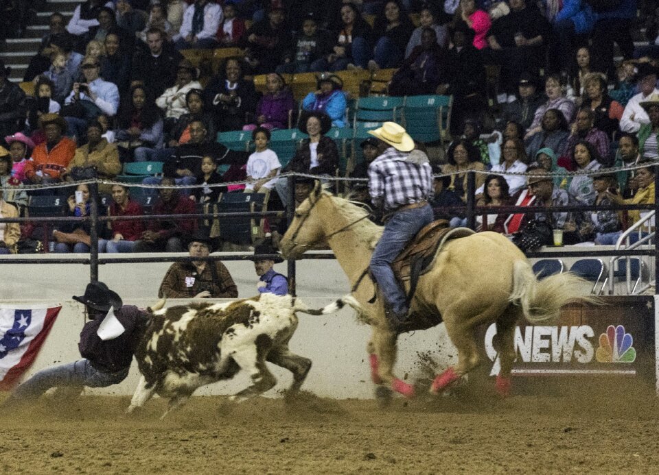 Arena competition western
