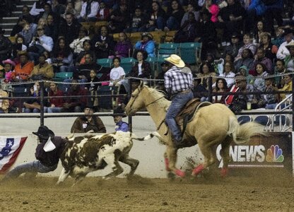 Arena competition western