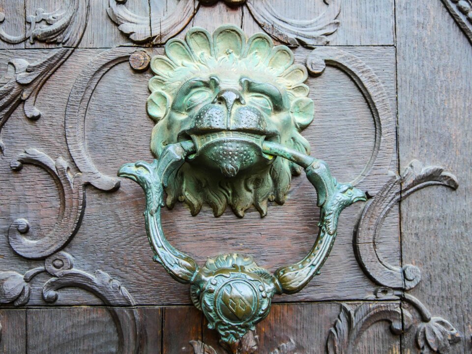 Lion head input goal