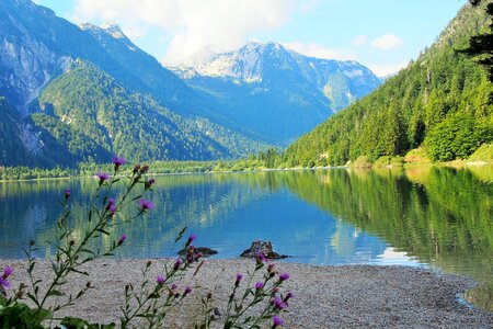 Slovenia lake nature photo