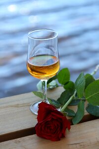 Liqueur celebration drink