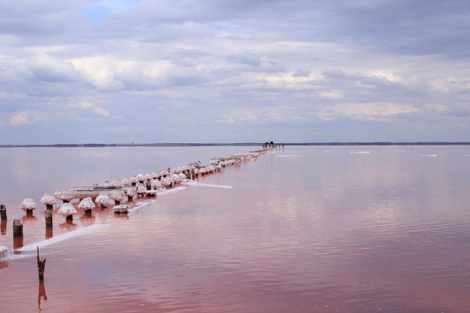 Reflection salt sasyk
