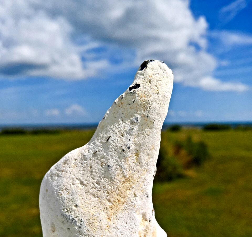 White stone the form of a polar bear artifact