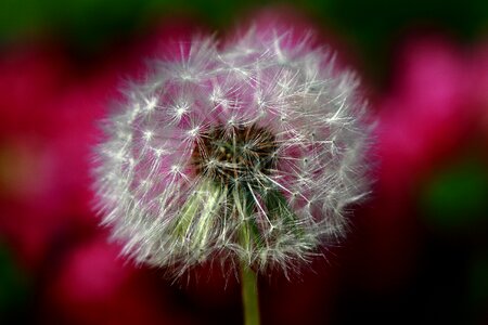 Nature people down-hole conditions wildflower