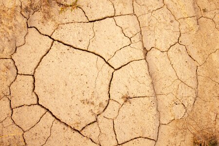 Sand cracks grass