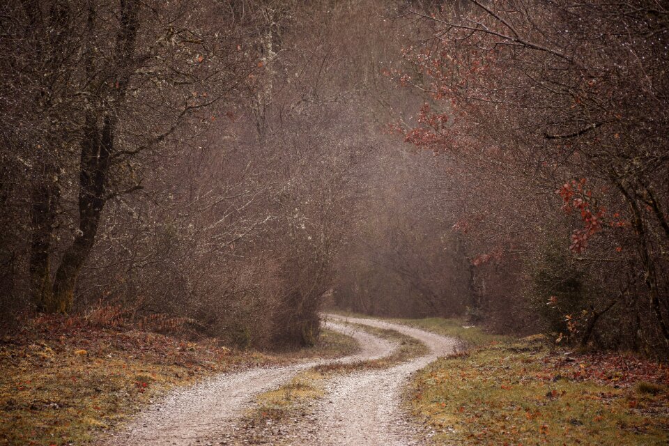 Mysterious old road timeworn