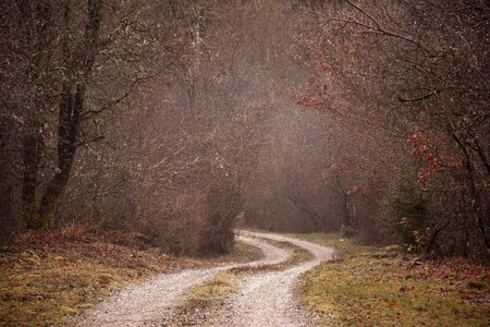 Mysterious old road timeworn photo