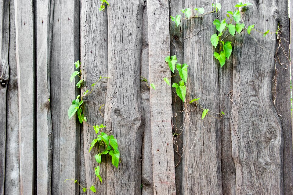 The structure of the wood boards