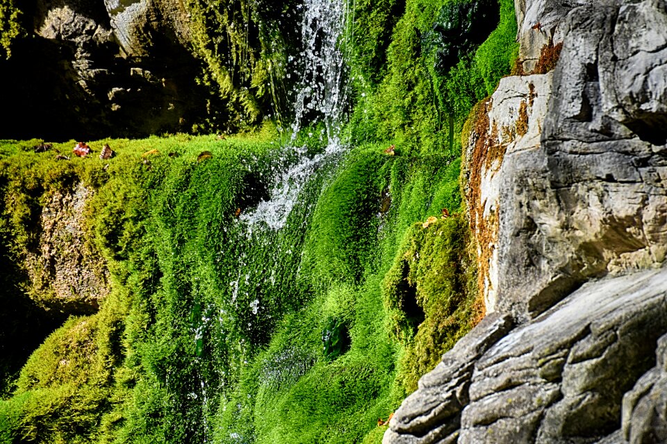 Water landscape green photo