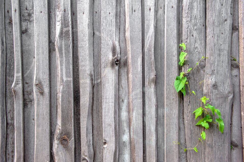The structure of the wood boards