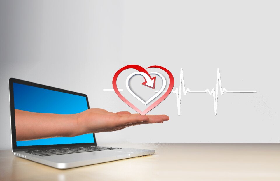 Healthy pulse online