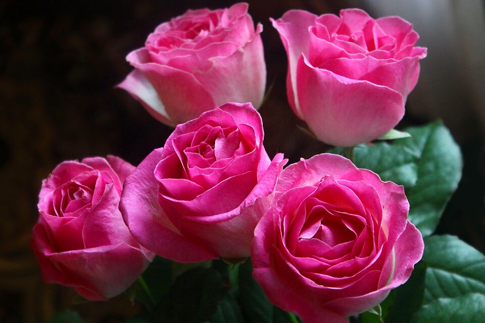 Flowers bouquet pink roses