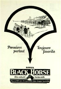 Dawes Black Horse photo