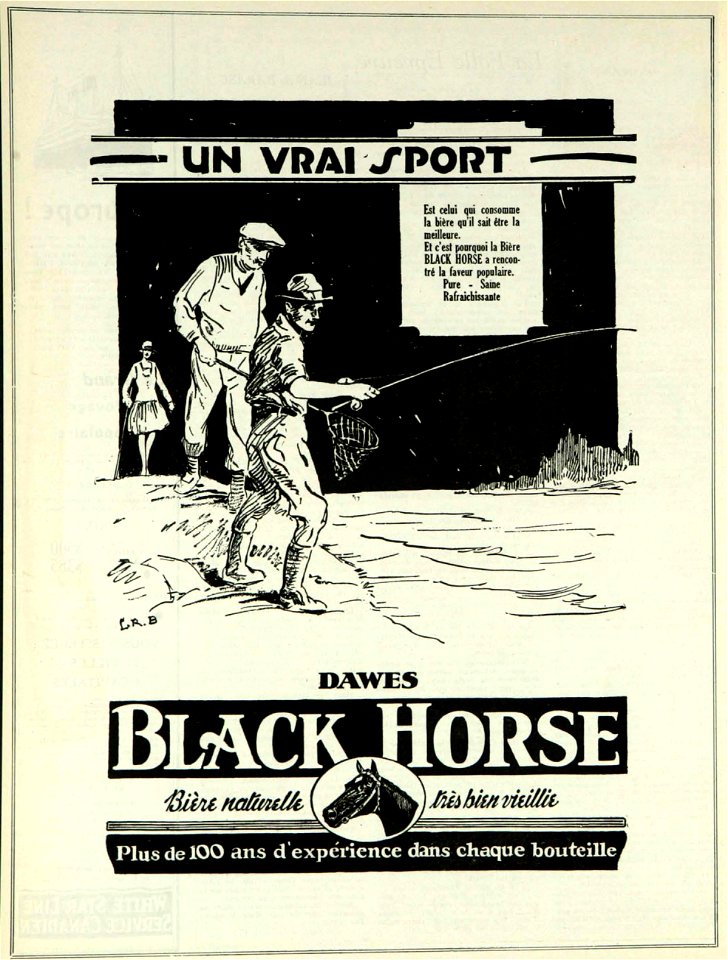 Un vrai sport - Dawes Black Horse