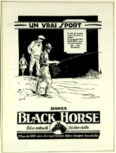 Un vrai sport - Dawes Black Horse photo