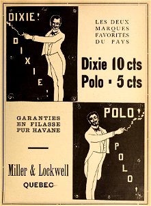 Dixie & Polo - Miller & Lockwell photo