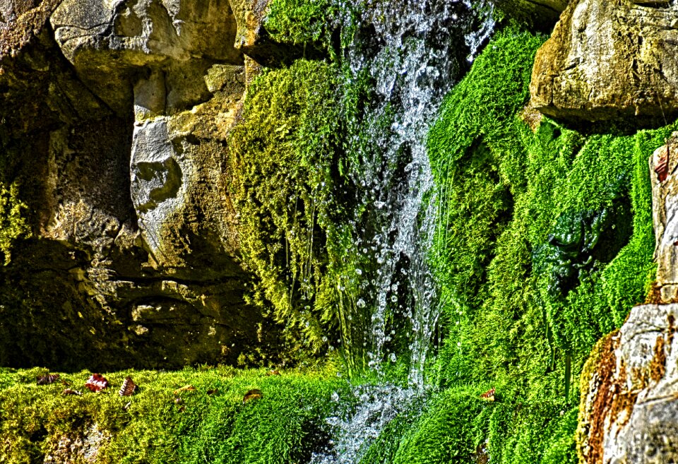 Water landscape green