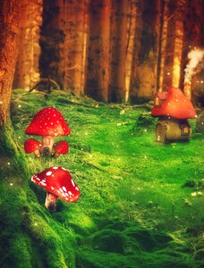 Trees meadow matryoshka