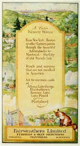 Fairweathers Limited, Furriers & Skin Merchants