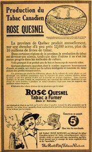 Tabac canadien Rose Quesnel - The Rock City Tobacco Co. photo