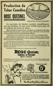 Rose Quesnel - The Rock City Tobacco Co. photo