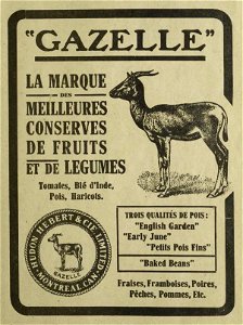 Gazelle - Hudon Hebert & Cie photo