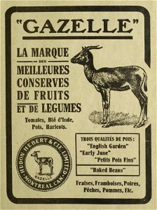 Gazelle - Hudon Hebert & Cie
