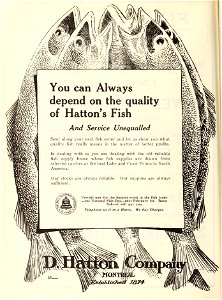 D. Hatton Company