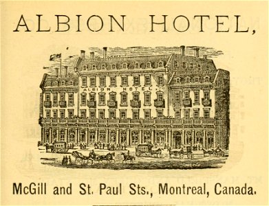 Albion Hotel