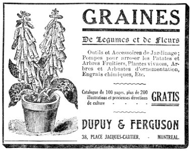 Graines de légumes et de fleurs - Dupuy & Ferguson
