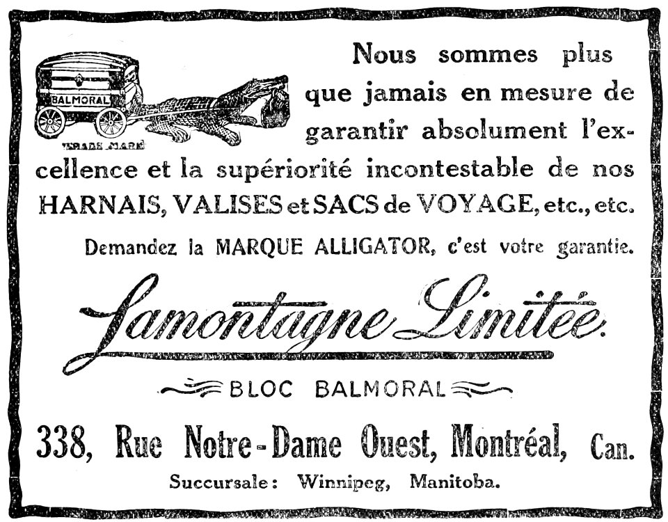 Alligator - Lamontagne Limitée