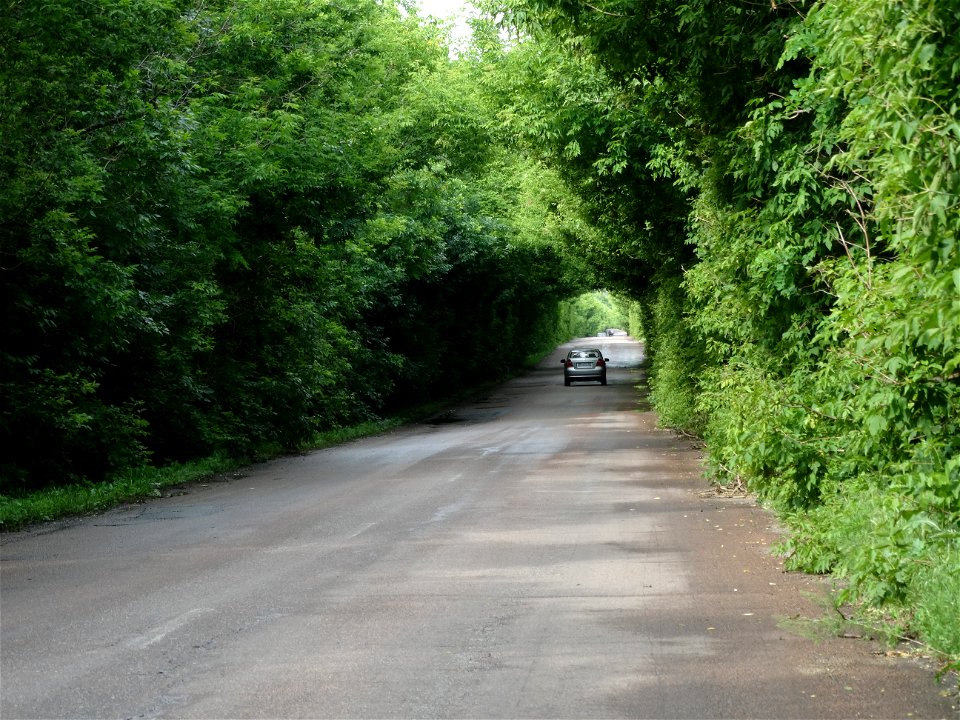 DSC08699