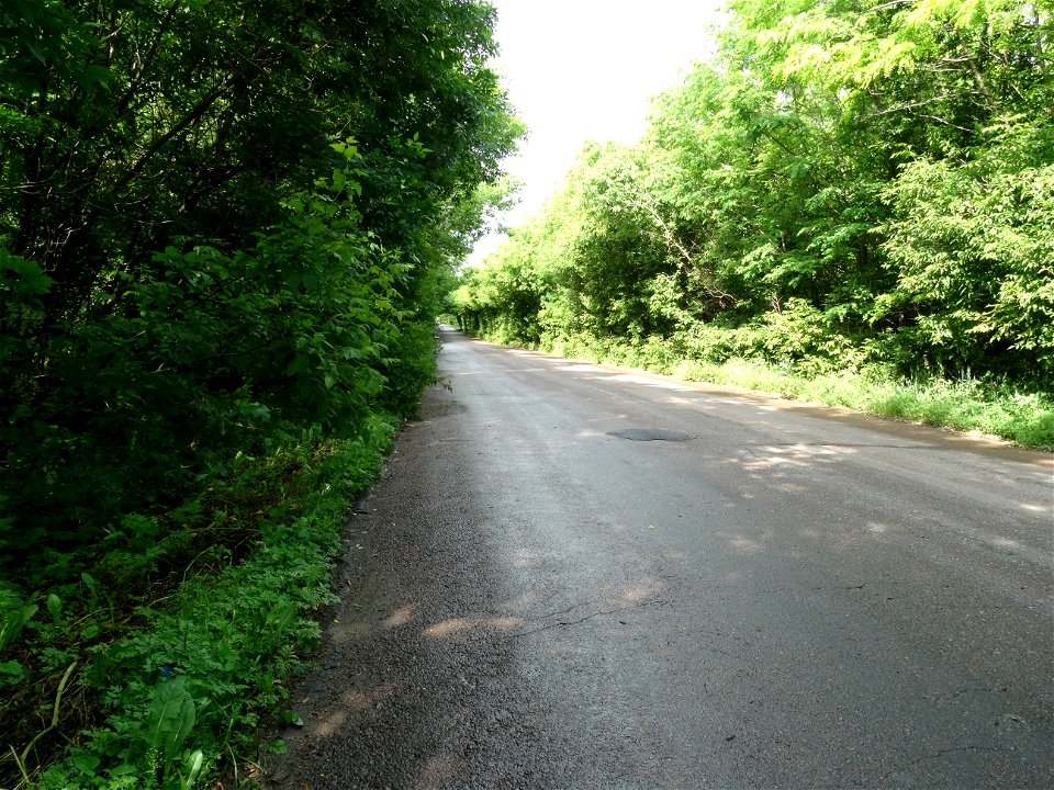DSC08693