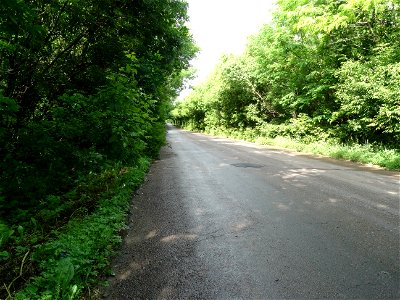 DSC08693