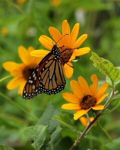 Colorful nature outdoor