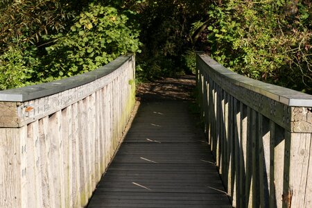Wooden bridge bridge crossing