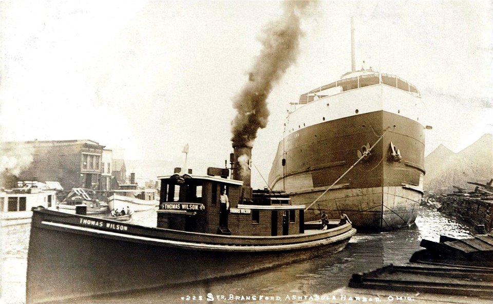 Bransford Under Tow of Thomas Wilson