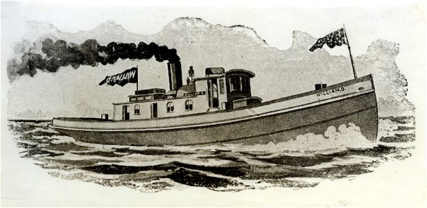 William D Illustration