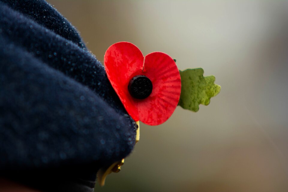 Remembrance war memorial
