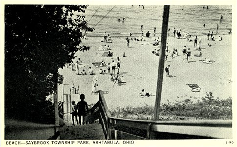 Saybrook Township Park Beach
