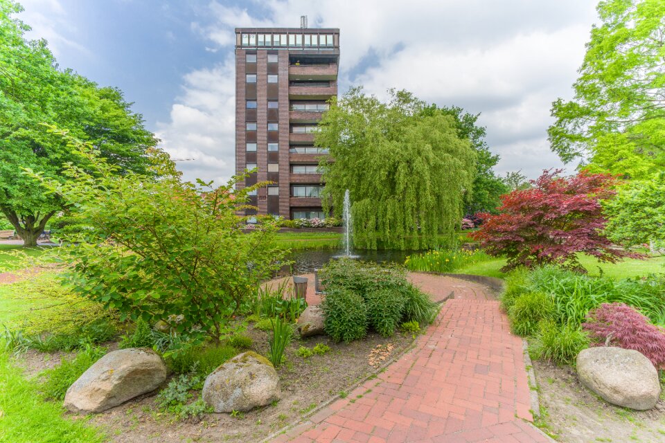 Local recreation nature skyscraper