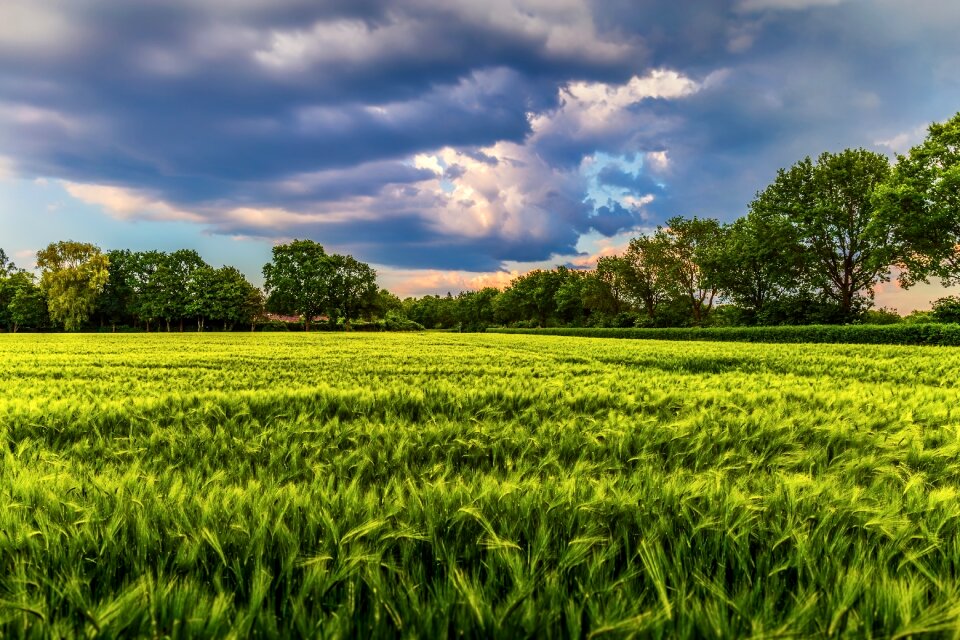 Agriculture farm rural